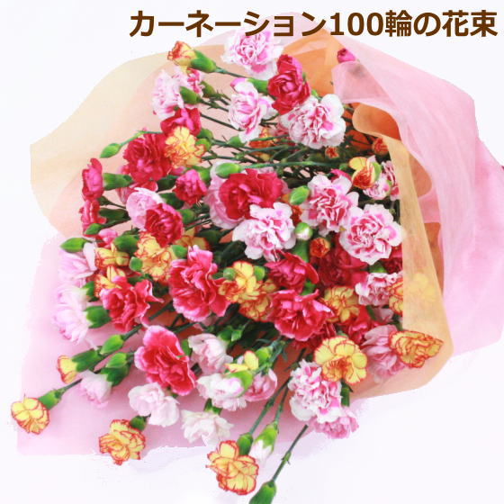 yz̓ɃJ[l[V100ւ̉ԑ`~bNX yyMt_bŹzyRCPzy10P06may13zymarathon201305_z