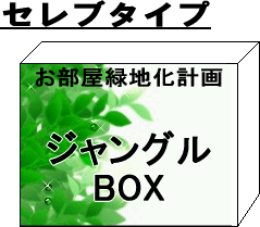 ͵ʡ޴衧󥯾ΥʲִƫȭΥ꡼ǥƥ˾ä㤪󥰥ܥåǹ̵ʲִ糧֥סˡʡ0801