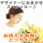 50OFFۤˤ Τ֥ڥ