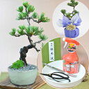 盆栽 ミニ盆栽 初心者道具セット 五葉松 初心者 道具 盆栽 趣味 入門 セット あす楽 盆栽鋏 ピンセット 薬剤 園芸トレー 初心者 育て方 説明書 肥料 付属 鉢植え 剪定 木 記念 bonsai ボンサイ 10000円以下