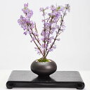 盆栽 長寿桜 チョウジュサクラ ジンチョウゲ属 ミニ盆栽 初心者 お祝い プレゼント ギフト 贈り物 趣味 モダン盆栽 退職 盆栽妙