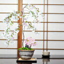 桜 盆栽 寄植え盆栽 桜盆栽 しだれ桜と旭山桜の寄植え 一才桜 ミニ桜 鉢植え 盆栽ギフト 室内 自宅で花見 初心者 贈り物 ギフト プレゼント 誕生日 退職 開店祝い 周年 結婚 卒業 入学 引越 新築 改装 移転 送別 昇進 長寿祝い 年賀・正月 バレンタインデー ホワイトデー
