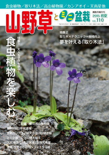 隔月刊「山野草とミニ盆栽」15年初夏号...:bonsaisaito:10002410