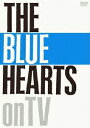 THE BLUE HEARTS on TV [ THE BL...