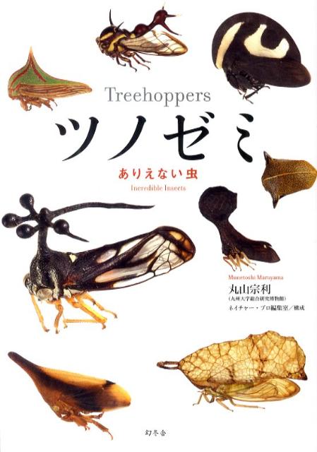 ツノゼミ