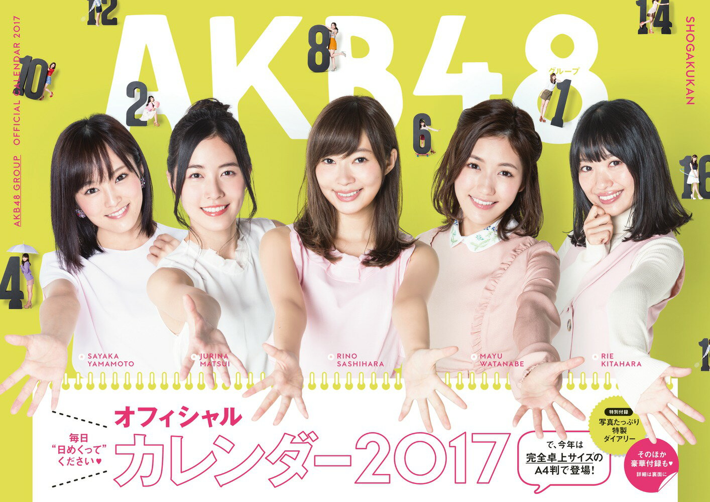 AKB48グループ オフィシャルカレンダー2017...:book:18227391