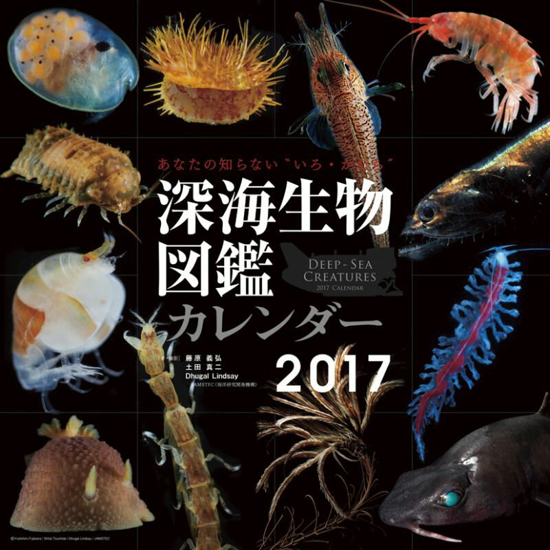 深海生物図鑑 2017年 カレンダー...:book:18174113