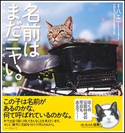 名前はまだニャい。【送料無料】