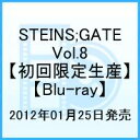 STEINS;GATE Vol.8