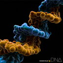 DNA(CD+DVD) [ MONKEY MAJIK ]