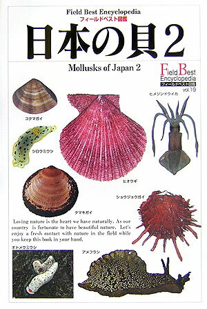 日本の貝（2）