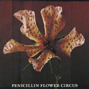 FLOWER CIRCUS [ PENICILLIN ]