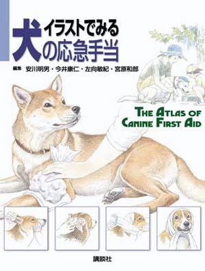 イラストでみる犬の応急手当