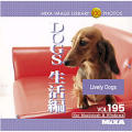 MIXA Image Library Vol.195 DOGS 生活編