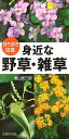 身近な野草・雑草【送料無料】