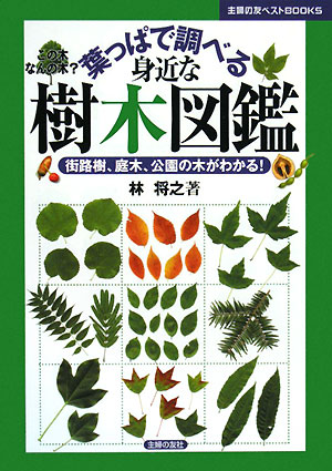 葉っぱで調べる身近な樹木図鑑