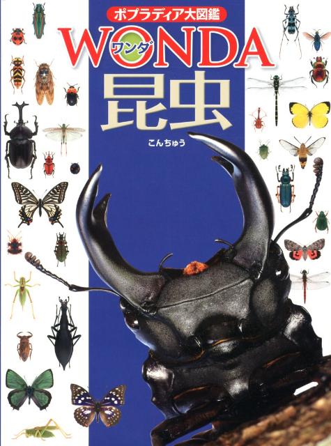 昆虫 （ポプラディア大図鑑 WONDA）...:book:15992428