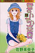 君のいない楽園 13