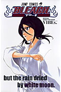 Bleach official animation book vibes．（白）