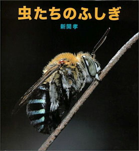 虫たちのふしぎ [ 新開孝 ]