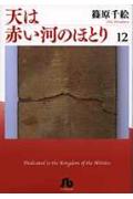 天は赤い河のほとり（第12巻）