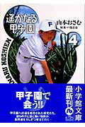 遥かなる甲子園 4