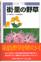 街・里の野草