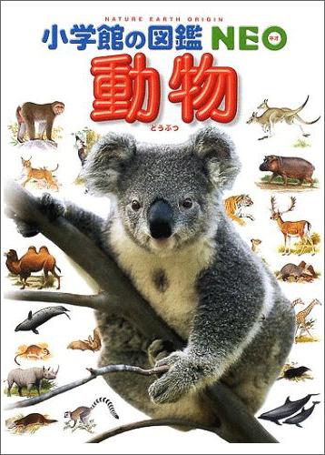 動物 [ 三浦慎悟 ]【送料無料】