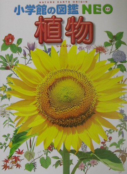 植物2版 [ 畑中喜秋 ]【送料無料】