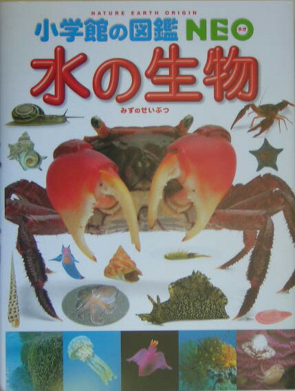 水の生物