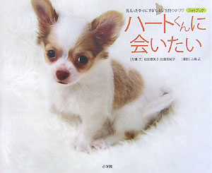 ハートくんに会いたい