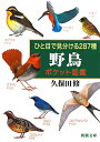 ひと目で見分ける287種野鳥ポケット図鑑