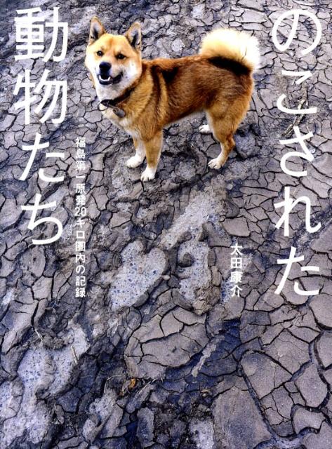 のこされた動物たち