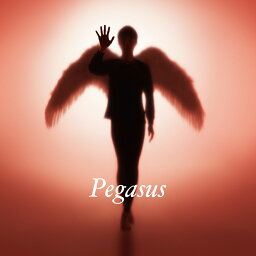 Pegasus (初回生産限定盤) [ <strong>布袋寅泰</strong> ]