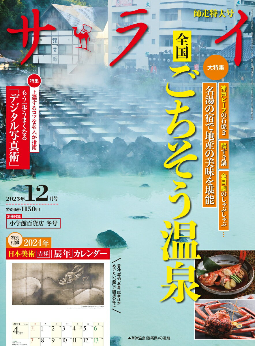 サライ 2013年 12月号 [雑誌]