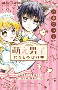 萌え男子にひとめぼれ （フラワーコミックス） [ 辻永 ひつじ ]