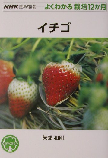 イチゴ （NHK趣味の園芸ーよくわかる栽培12か月） [ 矢部和則 ]...:book:11016756