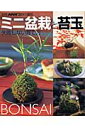 【送料無料】ミニ盆栽と苔玉