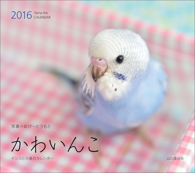 かわいんこカレンダー（2016）...:book:17537155