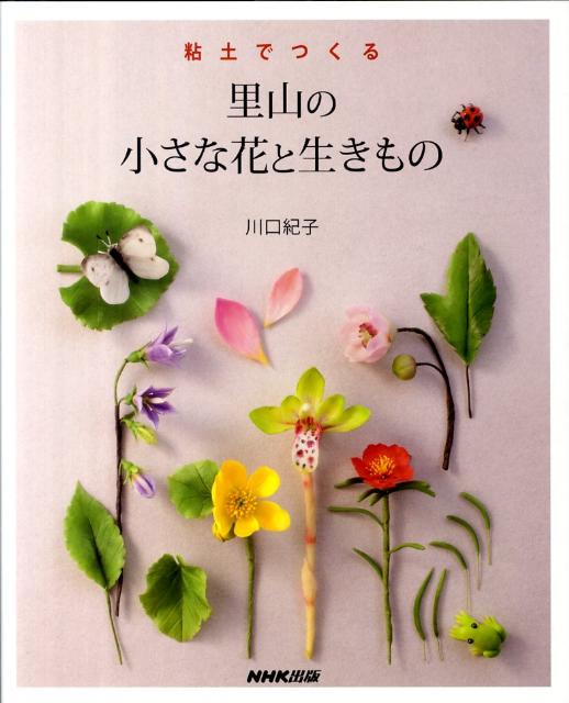 粘土でつくる里山の小さな花と生きもの [ 川口紀子 ]...:book:14518162