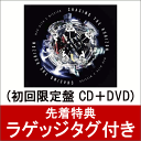 【先着特典】Chasing t...