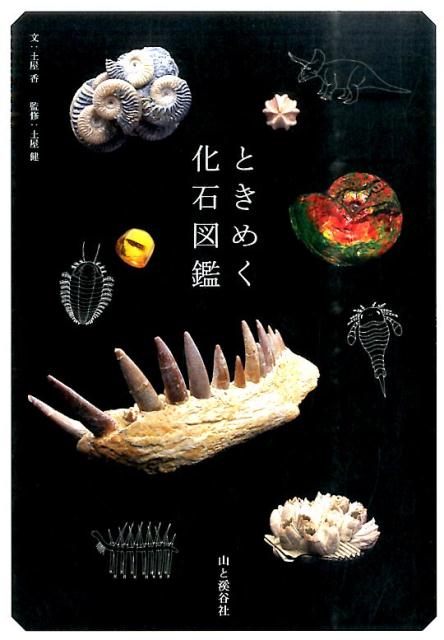 ときめく化石図鑑 [ 土屋香 ]...:book:17866271