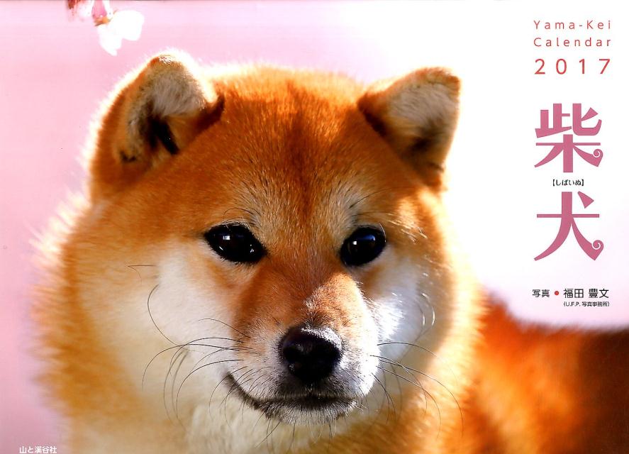 【壁掛】柴犬カレンダー（2017）...:book:18078915