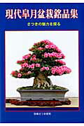 現代皐月盆栽銘品集 さつきの魅力を探る （別冊さつき研究）...:book:16183859