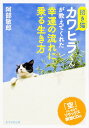 招き猫カワヒラくんが教えてくれた幸運の流れに乗る生き方 [ 阿部敏郎 ] - 楽天ブックス