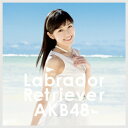 ラブラドール・レトリバー(Type4 通常盤 CD+DVD) [ AKB48 ]