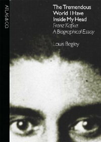 Essays on franz kafka