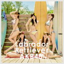 ラブラドール・レトリバー(TypeB 初回限定盤 CD+DVD) [ AKB48 ]