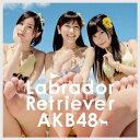 ラブラドール・レトリバー(Type4 初回限定盤 CD+DVD) [ AKB48 ]