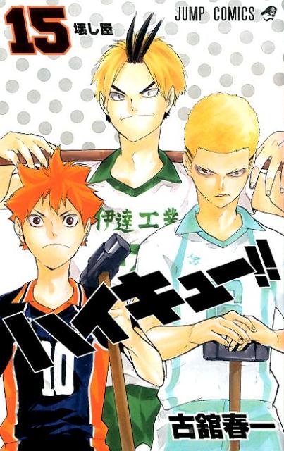 ハイキュー！！ 15